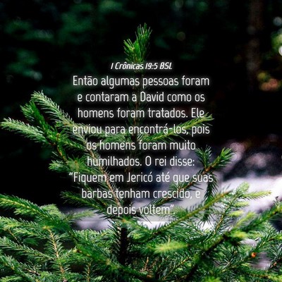 Picture 04 - 1 Crônicas 19:5 BSL - Então algumas pessoas foram e contaram a David - Bible Verse Picture
