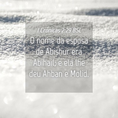 Picture 04 - 1 Crônicas 2:29 BSL - O nome da esposa de Abishur era Abihail; e ela - Bible Verse Picture