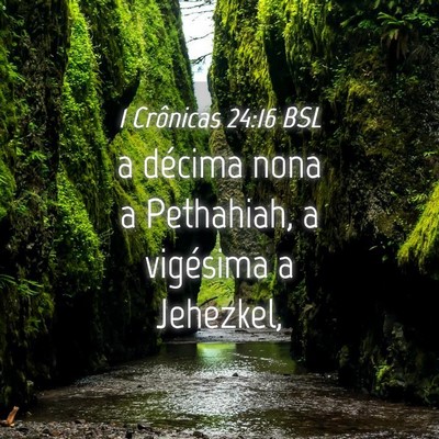 Picture 04 - 1 Crônicas 24:16 BSL - a décima nona a Pethahiah, a vigésima a - Bible Verse Picture