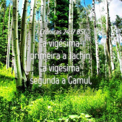 Picture 04 - 1 Crônicas 24:17 BSL - a vigésima primeira a Jachin, a vigésima - Bible Verse Picture