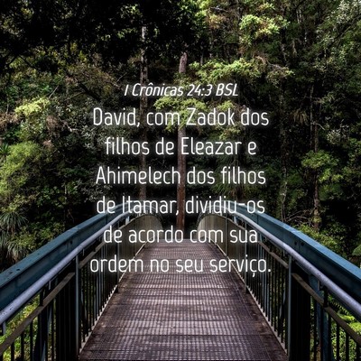 Picture 04 - 1 Crônicas 24:3 BSL - David, com Zadok dos filhos de Eleazar e - Bible Verse Picture