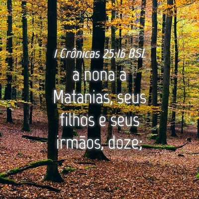 Picture 04 - 1 Crônicas 25:16 BSL - a nona a Matanias, seus filhos e seus irmãos, - Bible Verse Picture