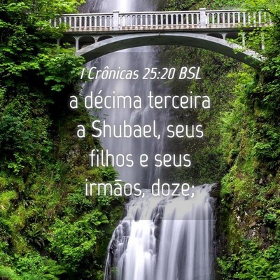 Picture 04 - 1 Crônicas 25:20 BSL - a décima terceira a Shubael, seus filhos e seus - Bible Verse Picture