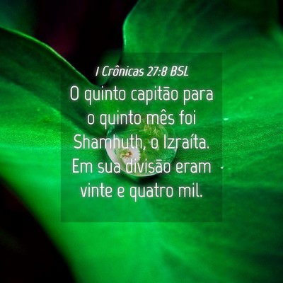 Picture 04 - 1 Crônicas 27:8 BSL - O quinto capitão para o quinto mês foi - Bible Verse Picture