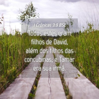 Picture 04 - 1 Crônicas 3:9 BSL - Todos estes eram filhos de David, além dos - Bible Verse Picture