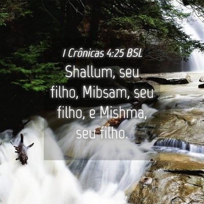 Picture 04 - 1 Crônicas 4:25 BSL - Shallum, seu filho, Mibsam, seu filho, e Mishma, - Bible Verse Picture