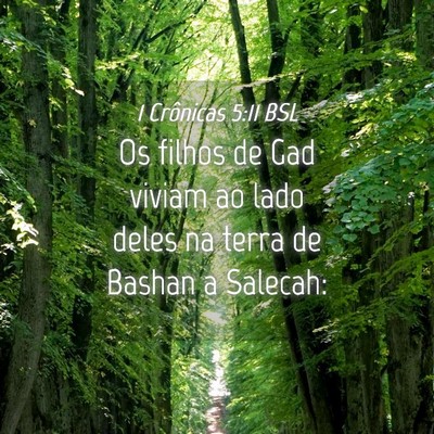 Picture 04 - 1 Crônicas 5:11 BSL - Os filhos de Gad viviam ao lado deles na terra de - Bible Verse Picture