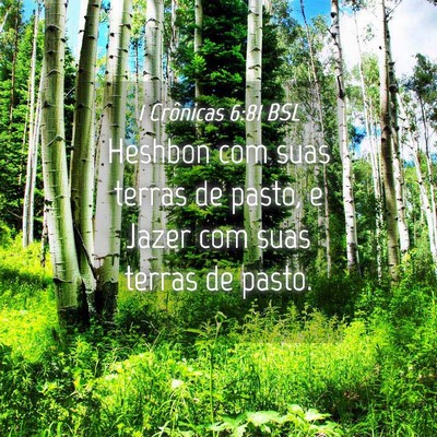 Picture 04 - 1 Crônicas 6:81 BSL - Heshbon com suas terras de pasto, e Jazer com - Bible Verse Picture