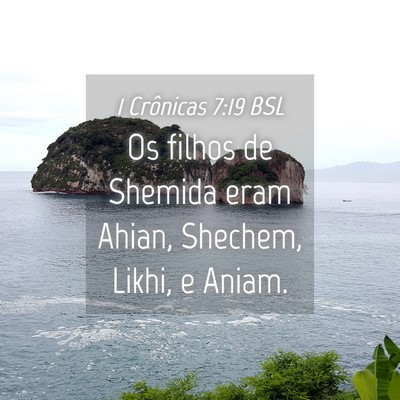 Picture 04 - 1 Crônicas 7:19 BSL - Os filhos de Shemida eram Ahian, Shechem, Likhi, - Bible Verse Picture