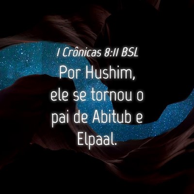 Picture 04 - 1 Crônicas 8:11 BSL - Por Hushim, ele se tornou o pai de Abitub e - Bible Verse Picture