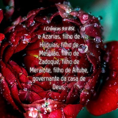 Picture 04 - 1 Crônicas 9:11 BSL - e Azarias, filho de Hilquias, filho de Mesulão, - Bible Verse Picture