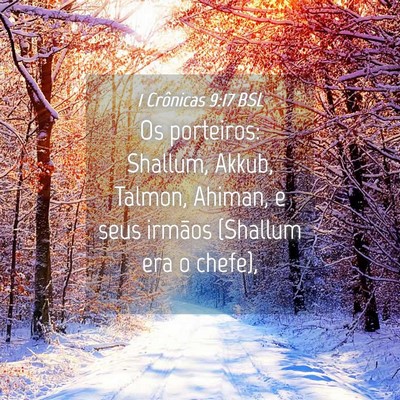 Picture 04 - 1 Crônicas 9:17 BSL - Os porteiros: Shallum, Akkub, Talmon, Ahiman, e - Bible Verse Picture
