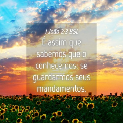Picture 04 - 1 João 2:3 BSL - É assim que sabemos que o conhecemos: se - Bible Verse Picture
