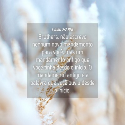 Picture 04 - 1 João 2:7 BSL - Brothers, não escrevo nenhum novo mandamento - Bible Verse Picture