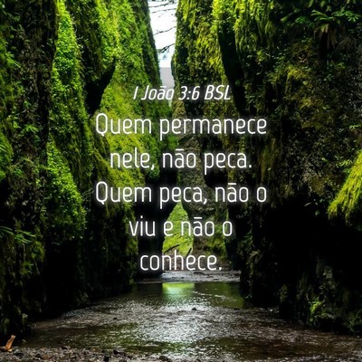 Picture 04 - 1 João 3:6 BSL - Quem permanece nele, não peca. Quem peca, não o - Bible Verse Picture