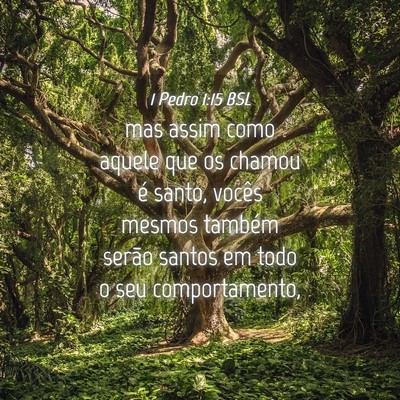Picture 04 - 1 Pedro 1:15 BSL - mas assim como aquele que os chamou é santo, - Bible Verse Picture