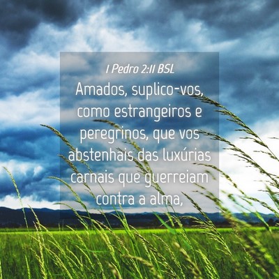 Picture 04 - 1 Pedro 2:11 BSL - Amados, suplico-vos, como estrangeiros e - Bible Verse Picture