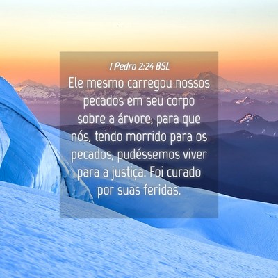 Picture 04 - 1 Pedro 2:24 BSL - Ele mesmo carregou nossos pecados em seu corpo - Bible Verse Picture
