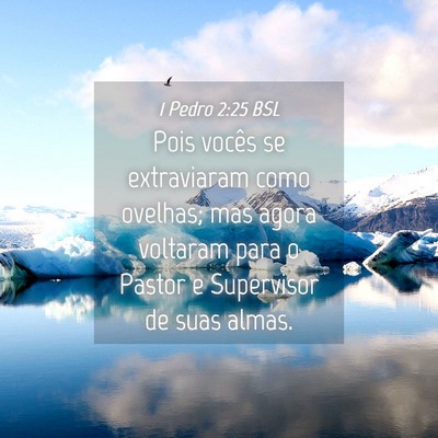 Picture 04 - 1 Pedro 2:25 BSL - Pois vocês se extraviaram como ovelhas; mas - Bible Verse Picture