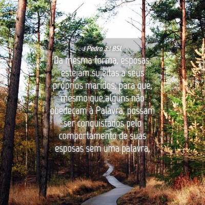 Picture 04 - 1 Pedro 3:1 BSL - Da mesma forma, esposas, estejam sujeitas a seus - Bible Verse Picture