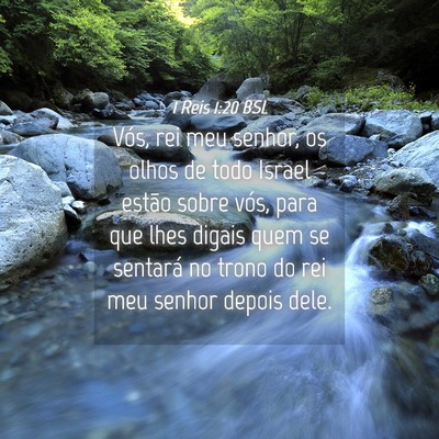 Picture 04 - 1 Reis 1:20 BSL - Vós, rei meu senhor, os olhos de todo Israel - Bible Verse Picture