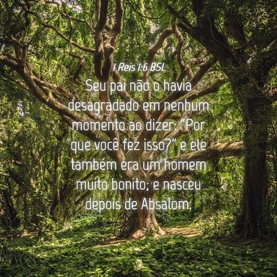 Picture 04 - 1 Reis 1:6 BSL - Seu pai não o havia desagradado em nenhum - Bible Verse Picture