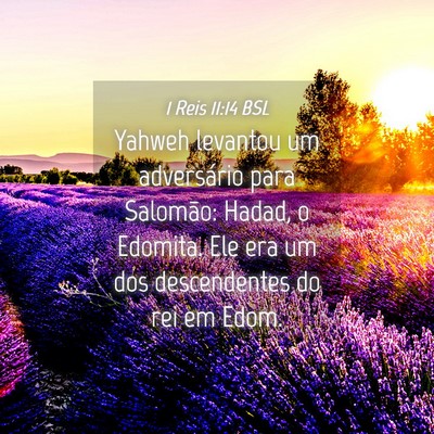 Picture 04 - 1 Reis 11:14 BSL - Yahweh levantou um adversário para Salomão: - Bible Verse Picture