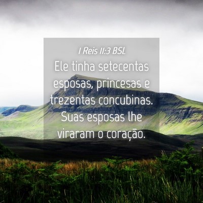 Picture 04 - 1 Reis 11:3 BSL - Ele tinha setecentas esposas, princesas e - Bible Verse Picture