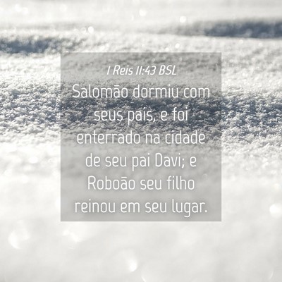 Picture 04 - 1 Reis 11:43 BSL - Salomão dormiu com seus pais, e foi enterrado na - Bible Verse Picture