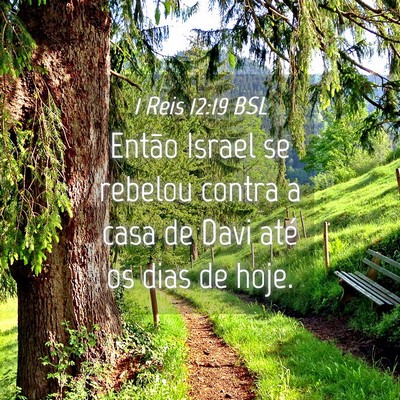 Picture 04 - 1 Reis 12:19 BSL - Então Israel se rebelou contra a casa de Davi - Bible Verse Picture