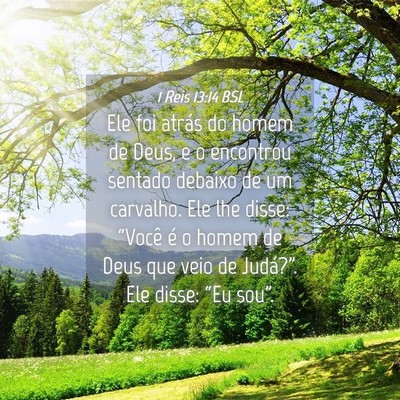 Picture 04 - 1 Reis 13:14 BSL - Ele foi atrás do homem de Deus, e o encontrou - Bible Verse Picture