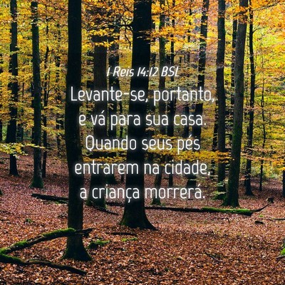 Picture 04 - 1 Reis 14:12 BSL - Levante-se, portanto, e vá para sua casa. Quando - Bible Verse Picture