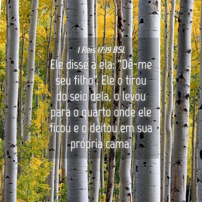 Picture 04 - 1 Reis 17:19 BSL - Ele disse a ela: “Dê-me seu filho”. Ele o - Bible Verse Picture