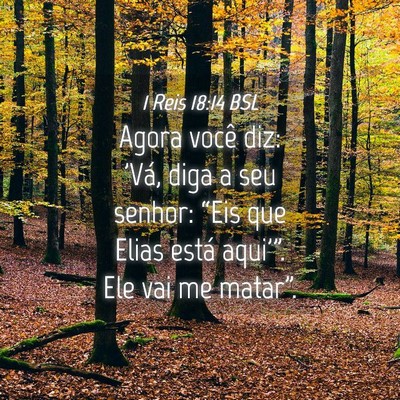 Picture 04 - 1 Reis 18:14 BSL - Agora você diz: 'Vá, diga a seu senhor: “Eis - Bible Verse Picture