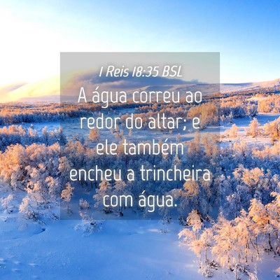 Picture 04 - 1 Reis 18:35 BSL - A água correu ao redor do altar; e ele também - Bible Verse Picture