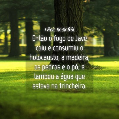 Picture 04 - 1 Reis 18:38 BSL - Então o fogo de Javé caiu e consumiu o - Bible Verse Picture