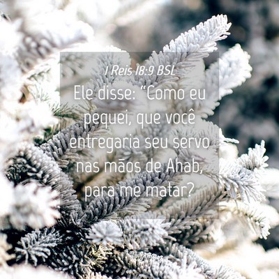 Picture 04 - 1 Reis 18:9 BSL - Ele disse: “Como eu pequei, que você - Bible Verse Picture