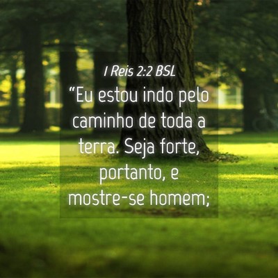 Picture 04 - 1 Reis 2:2 BSL - “Eu estou indo pelo caminho de toda a terra. - Bible Verse Picture