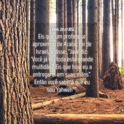 Picture 04 - 1 Reis 20:13 BSL - Eis que um profeta se aproximou de Acabe, rei de - Bible Verse Picture