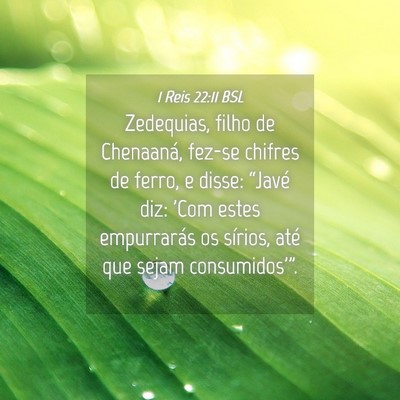 Picture 04 - 1 Reis 22:11 BSL - Zedequias, filho de Chenaaná, fez-se chifres de - Bible Verse Picture