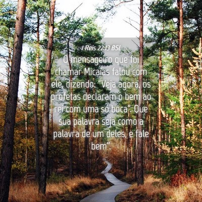 Picture 04 - 1 Reis 22:13 BSL - O mensageiro que foi chamar Micaías falou com - Bible Verse Picture