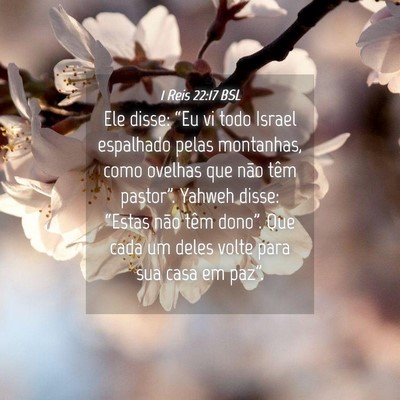 Picture 04 - 1 Reis 22:17 BSL - Ele disse: “Eu vi todo Israel espalhado pelas - Bible Verse Picture