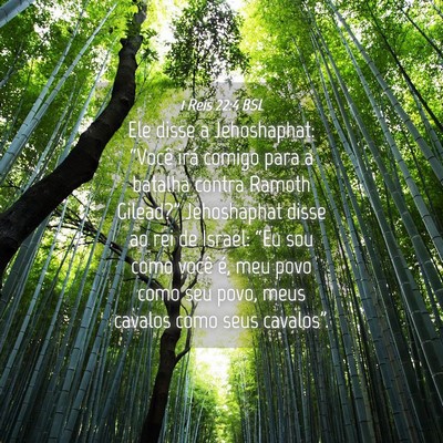 Picture 04 - 1 Reis 22:4 BSL - Ele disse a Jehoshaphat: “Você irá comigo - Bible Verse Picture