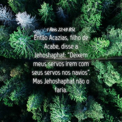 Picture 04 - 1 Reis 22:49 BSL - Então Acazias, filho de Acabe, disse a - Bible Verse Picture