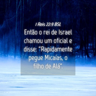 Picture 04 - 1 Reis 22:9 BSL - Então o rei de Israel chamou um oficial e disse: - Bible Verse Picture