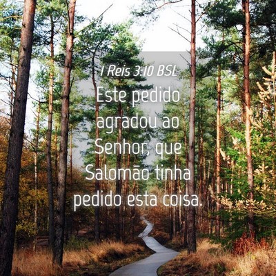 Picture 04 - 1 Reis 3:10 BSL - Este pedido agradou ao Senhor, que Salomão tinha - Bible Verse Picture