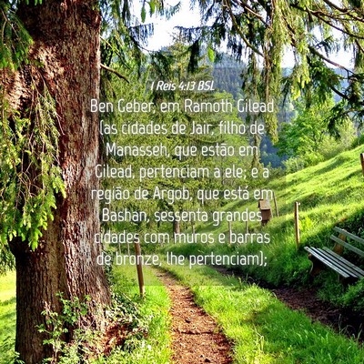 Picture 04 - 1 Reis 4:13 BSL - Ben Geber, em Ramoth Gilead (as cidades de Jair, - Bible Verse Picture