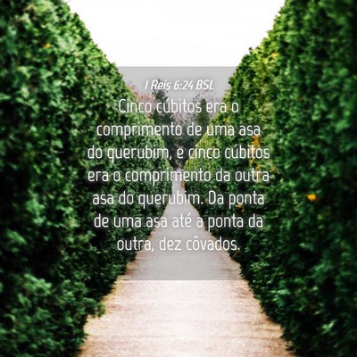 Picture 04 - 1 Reis 6:24 BSL - Cinco cúbitos era o comprimento de uma asa do - Bible Verse Picture