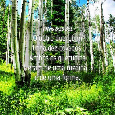 Picture 04 - 1 Reis 6:25 BSL - O outro querubim tinha dez côvados. Ambos os - Bible Verse Picture