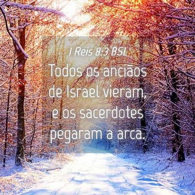 Picture 04 - 1 Reis 8:3 BSL - Todos os anciãos de Israel vieram, e os - Bible Verse Picture